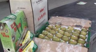 寻找猕猴桃代理加盟与二手设备转让 世界工厂网瓜果商机全览