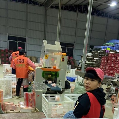 沃柑套袋包装机的应用助力瓜果产业升级