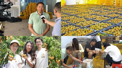 【百千万工程】央视聚焦的81亿产业如何破圈？广东白云学院用“AI+非遗基因库”给出答案