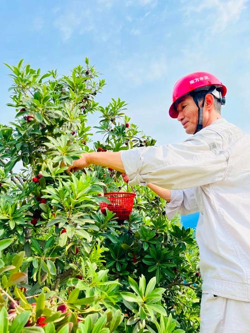 钢筋水泥中的一抹绿 南方水泥工厂里的